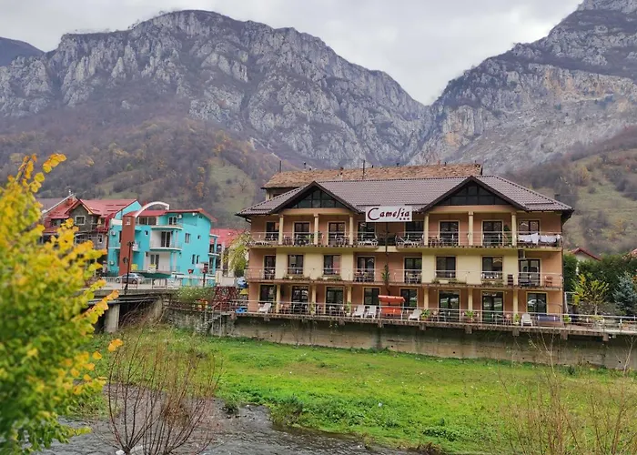 Pension Camelia Băile Herculane